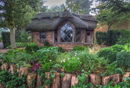 In the Witch’s Garden